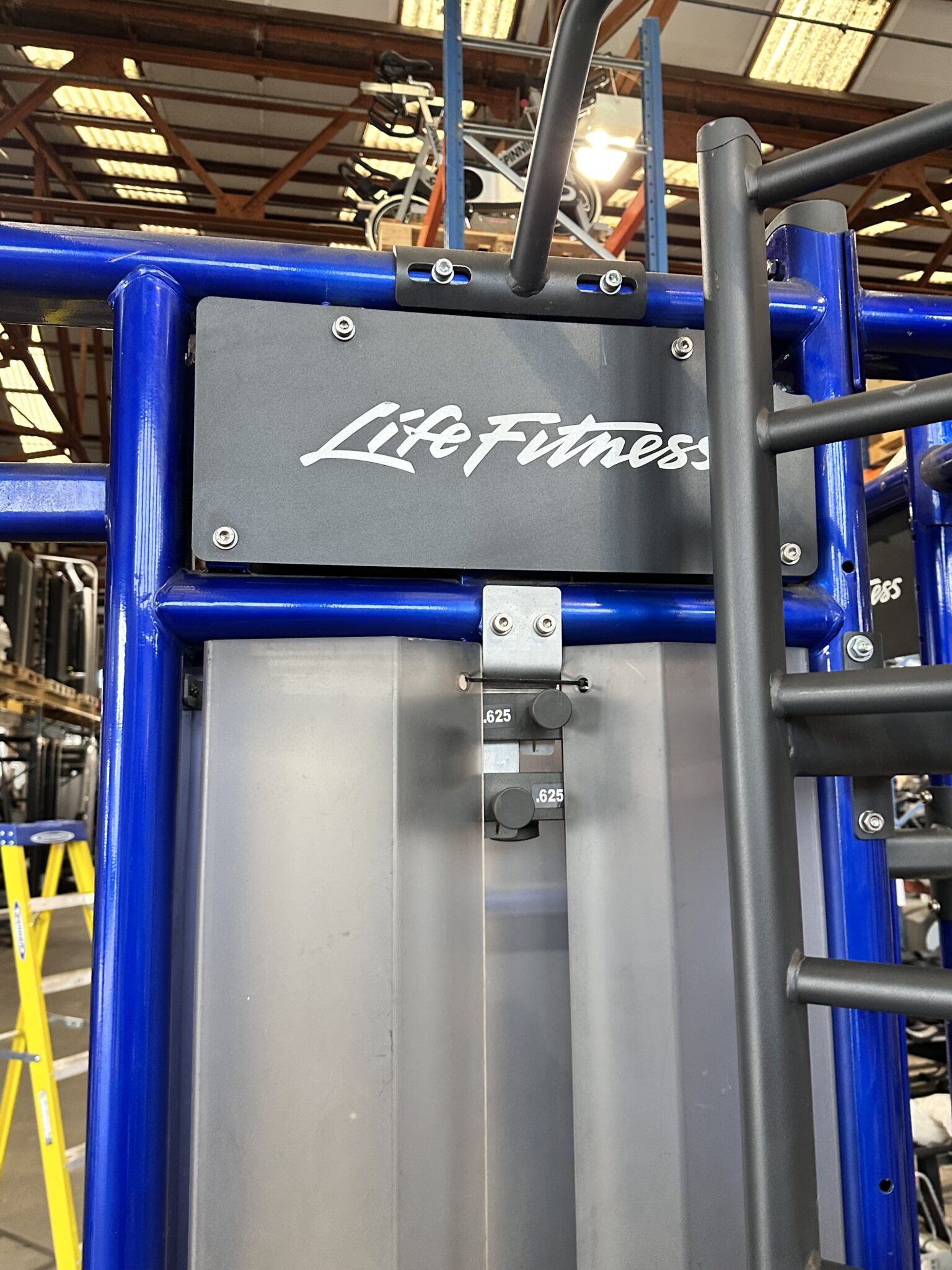 Life Fitness SYNRGY 360XM Group Training Rig (Electric Blue)