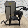 Technogym Element Line Abdominal Crunch Machine