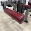 Life Fitness Insignia Series Seated Leg Curl