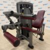 Life Fitness Insignia Series Seated Leg Curl