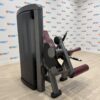 Life Fitness Insignia Series Leg Extension