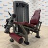 Life Fitness Insignia Series Leg Extension