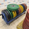 WERKSAN LIONFIT Competition BUMPER PLATES