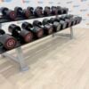 Escape Fitness Urethane Dumbbell Set 14kg to 30kg with Rack