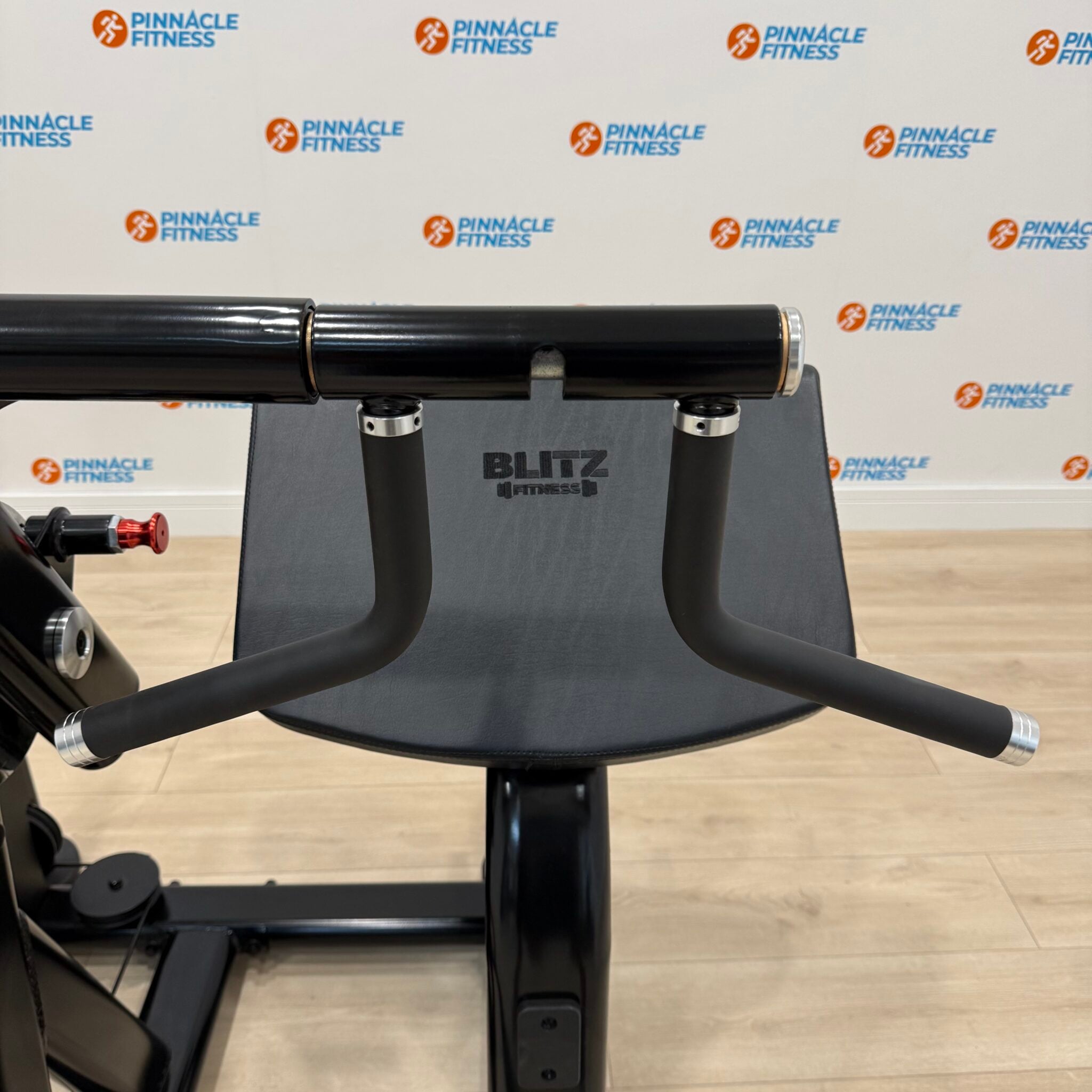 Dual Bicep Tricep Machine 2.0 by Blitz Fitness