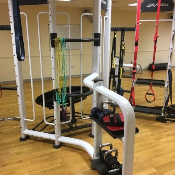 Life Fitness Synrgy 360S Combo Package (Functional Training Rig ) Cross Fit - Image 4