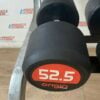 Origin Premium Rubber Dumbbell Pair