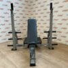Power Lift Olympic Incline Bench Press Station